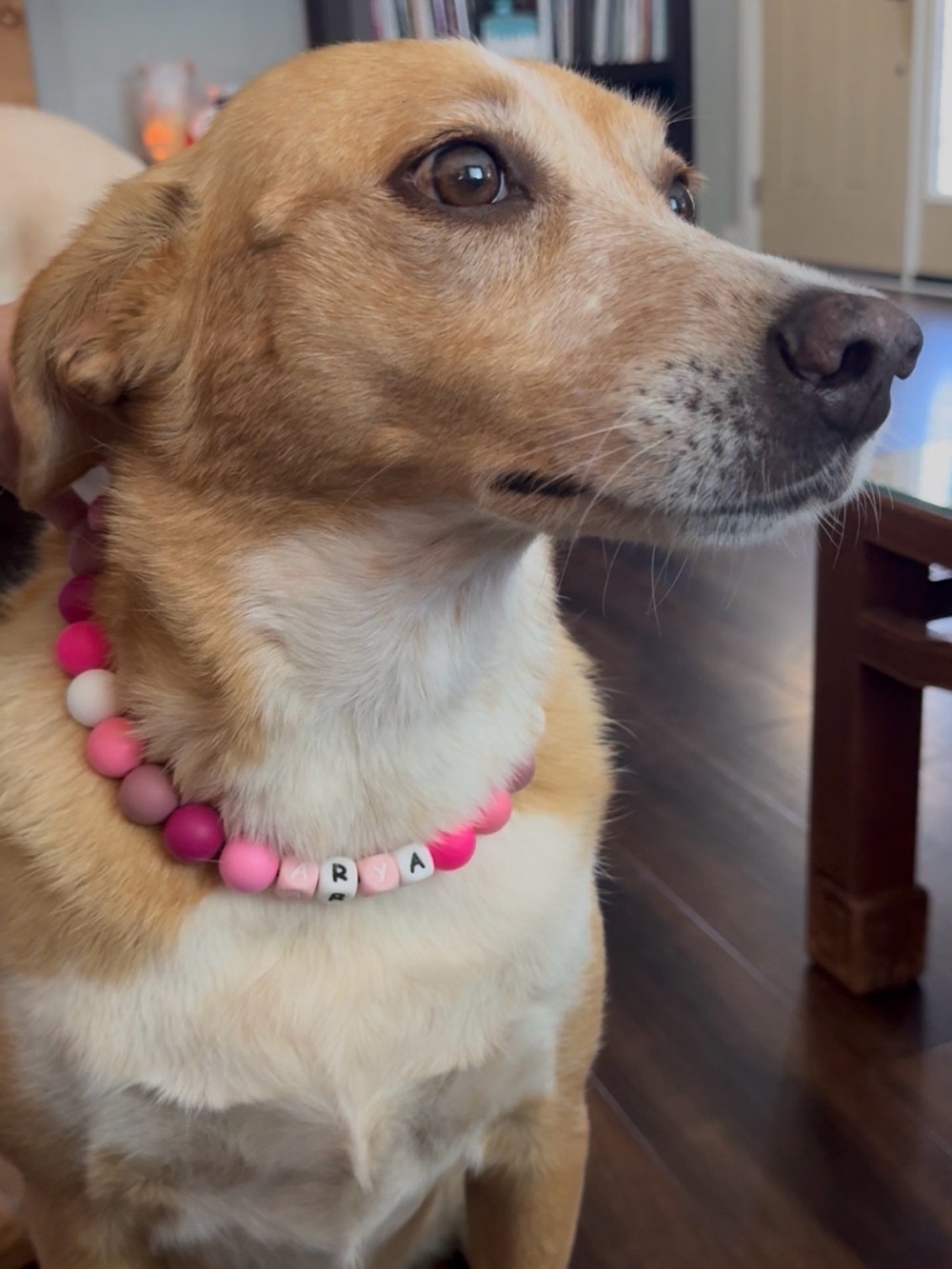 Personalized Pet Bead Necklaces - Picture 13 of 16